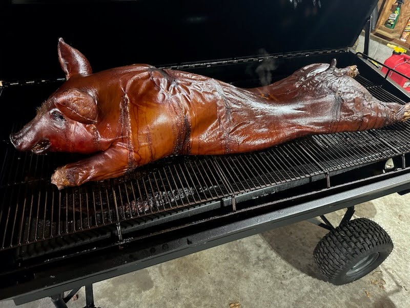 Golden brown whole pig on the grill